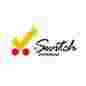 Virtual Switch International logo